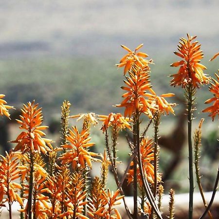 Cortijo El Paraiso Los Escullos Esterno foto